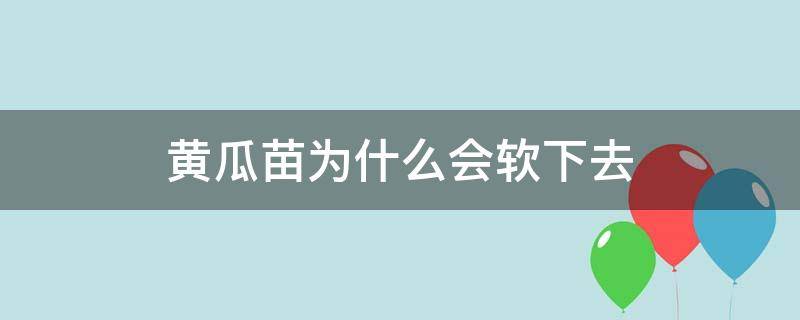 黄瓜苗为什么会软下去（黄瓜苗根部软化是什么原因）