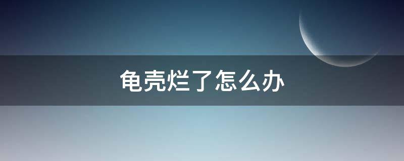 龟壳烂了怎么办 巴西龟龟壳烂了怎么办