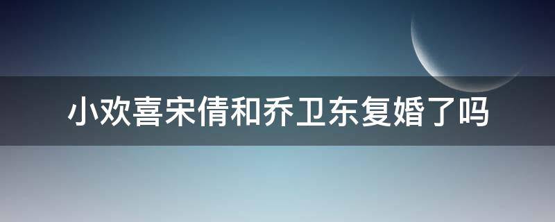小欢喜宋倩和乔卫东复婚了吗 小欢喜里宋倩和乔卫东复婚了吗
