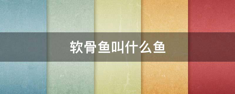软骨鱼叫什么鱼（软骨鱼叫什么鱼尾巴很长 叫什么鱼）