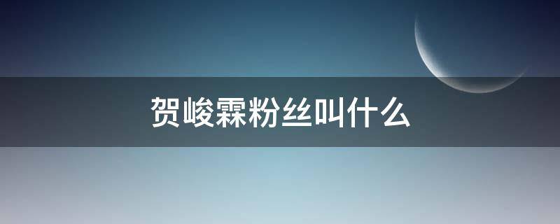 贺峻霖粉丝叫什么 贺峻霖粉丝名叫什么