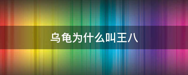 乌龟为什么叫王八 乌龟为什么叫王八的视频