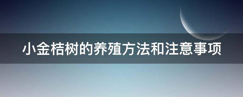 小金桔树的养殖方法和注意事项 盆栽桔子树的养殖方法和注意事项