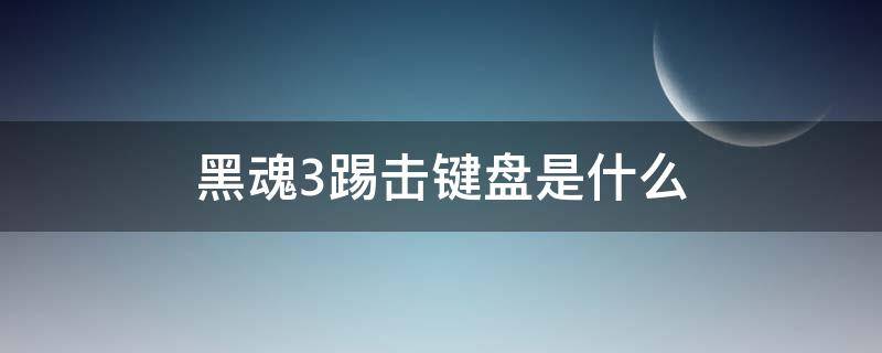 黑魂3踢击键盘是什么（黑魂三踢击怎么用键盘）