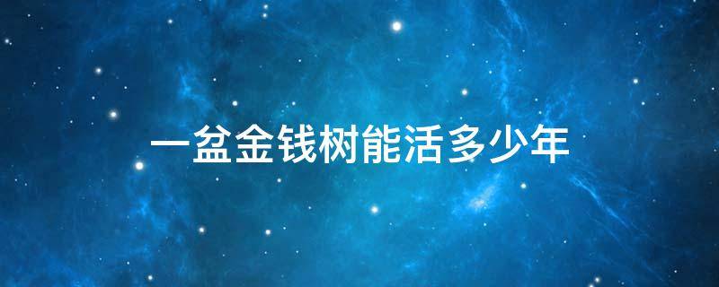 一盆金钱树能活多少年 金钱树一年能长出几株