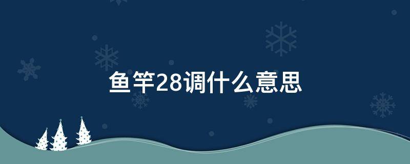 鱼竿28调什么意思 鱼竿28调是几h