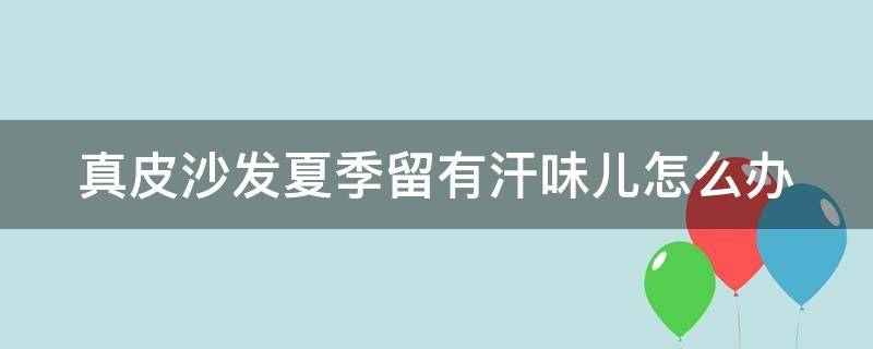 真皮沙发夏季留有汗味儿怎么办 真皮沙发有汗味怎么去味道