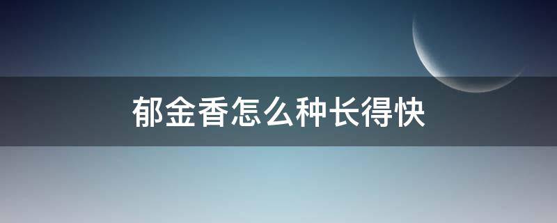 郁金香怎么种长得快 郁金香多久能种出来