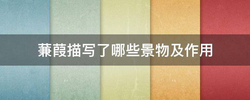 蒹葭描写了哪些景物及作用 蒹葭描写的景物特点是什么