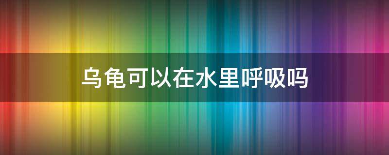 乌龟可以在水里呼吸吗 乌龟可以在水里呼吸么
