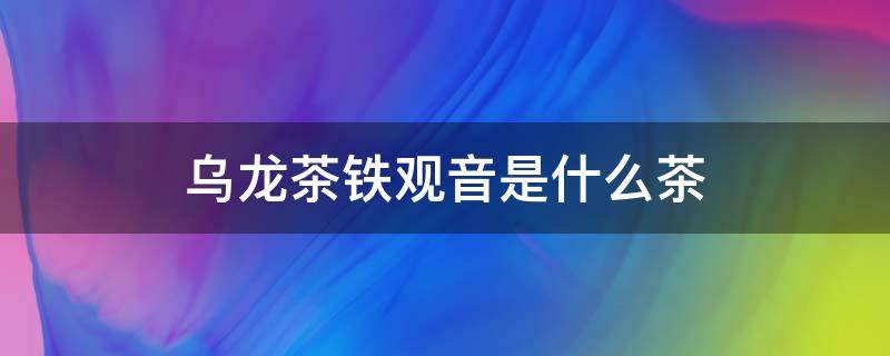 乌龙茶铁观音是什么茶（乌龙茶是铁观音茶吗）