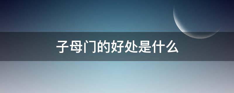 子母门的好处是什么 子母门有啥好处