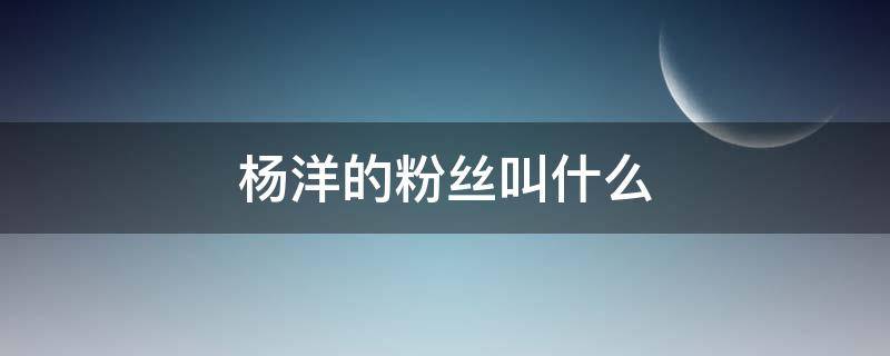 杨洋的粉丝叫什么 杨洋的粉丝叫什么名好听