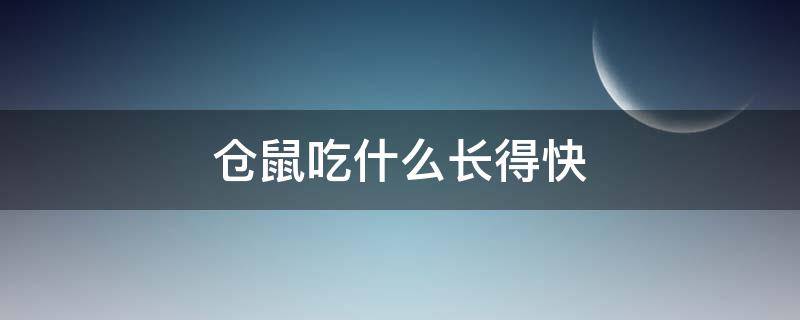 仓鼠吃什么长得快 仓鼠吃啥长的快