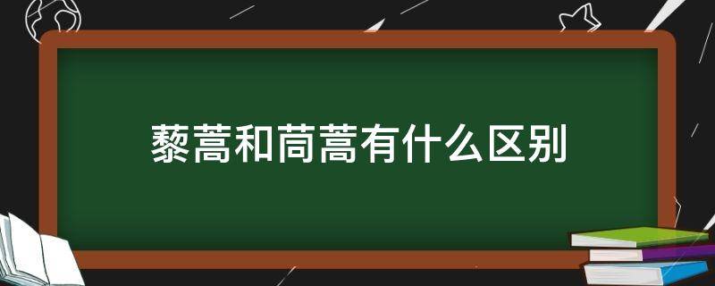 藜蒿和茼蒿有什么区别（藜蒿和芦蒿有什么区别）