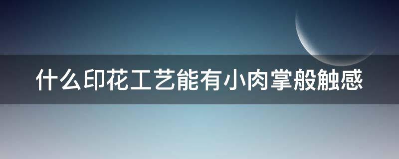 什么印花工艺能有小肉掌般触感 可以印花的产品