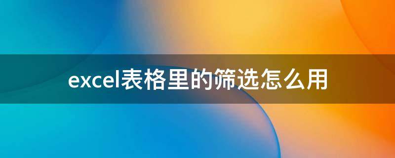 excel表格里的筛选怎么用（excel表格里面筛选怎么弄）
