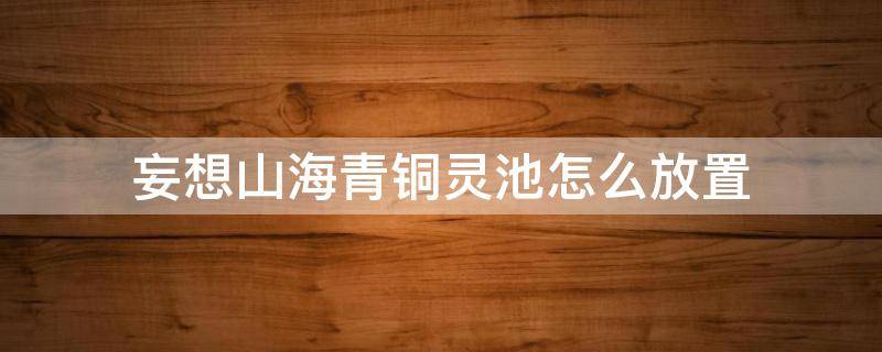 妄想山海青铜灵池怎么放置（妄想山海青铜灵池怎么放置不了）