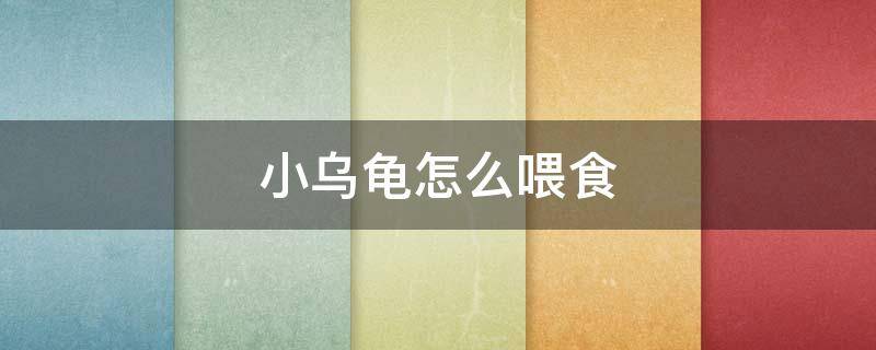 小乌龟怎么喂食（小乌龟怎么喂食它才吃）