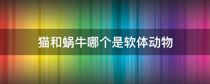 猫和蜗牛哪个是软体动物（蜗牛是软体动物吗?）