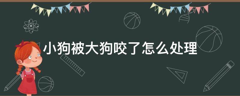 小狗被大狗咬了怎么处理（小狗被大狗咬了怎么处理会不会得狂犬病了）