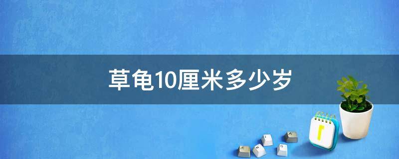 草龟10厘米多少岁（12厘米的公草龟多少岁）