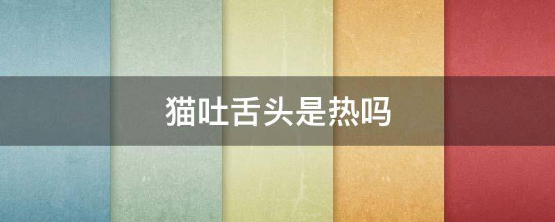 猫吐舌头是热吗（猫很热会吐舌头吗）