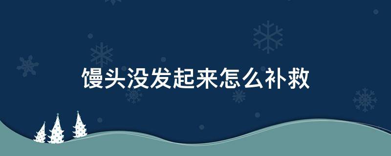 馒头没发起来怎么补救（馒头没发起来怎么补救视频）