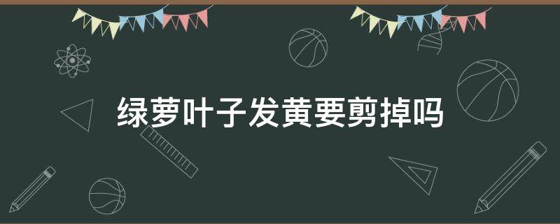 绿萝叶子发黄要剪掉吗 绿萝有黄叶需要剪掉吗