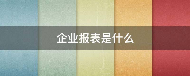 企业报表是什么（企业报表是什么意思）