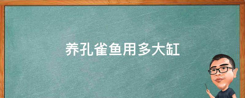养孔雀鱼用多大缸（养孔雀鱼需要多大的缸）