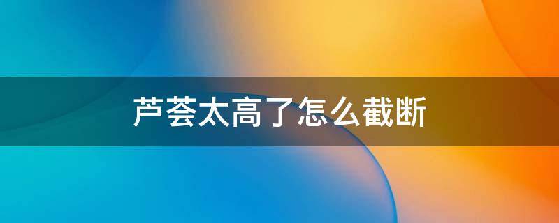 芦荟太高了怎么截断 芦荟太高了怎么截断怎么生根