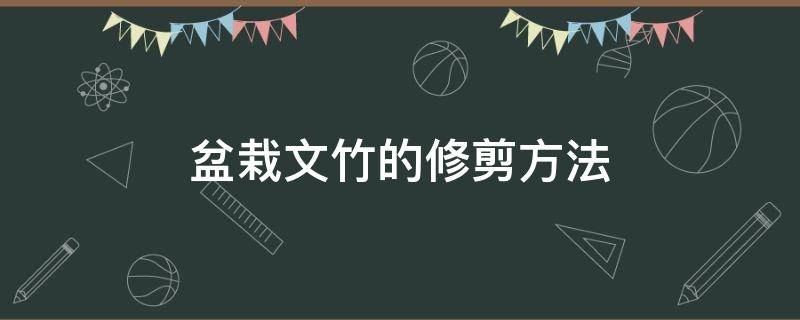 盆栽文竹的修剪方法（文竹需要修剪吗怎么修剪）