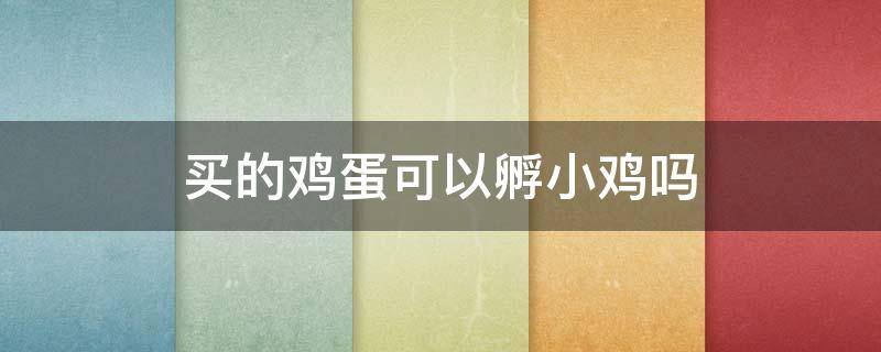 买的鸡蛋可以孵小鸡吗（菜场买的鸡蛋可以孵小鸡吗）