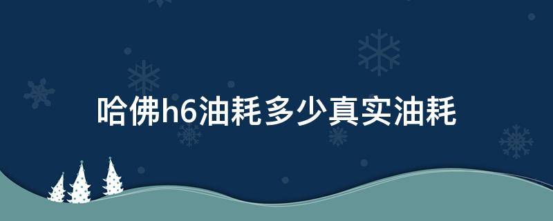 哈佛h6油耗多少真实油耗（哈弗H6油耗多少真实油耗）