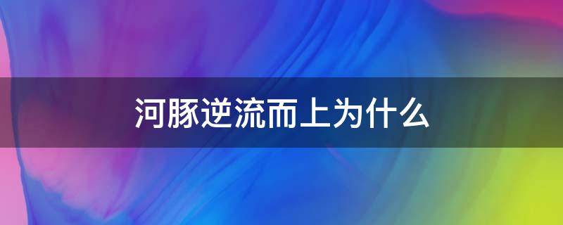 河豚逆流而上为什么（河豚为何逆流而上）