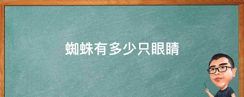 蜘蛛有多少只眼睛 蜘蛛有多少只眼睛多少只脚