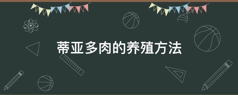 蒂亚多肉的养殖方法 蒂亚多肉的养殖方法视频
