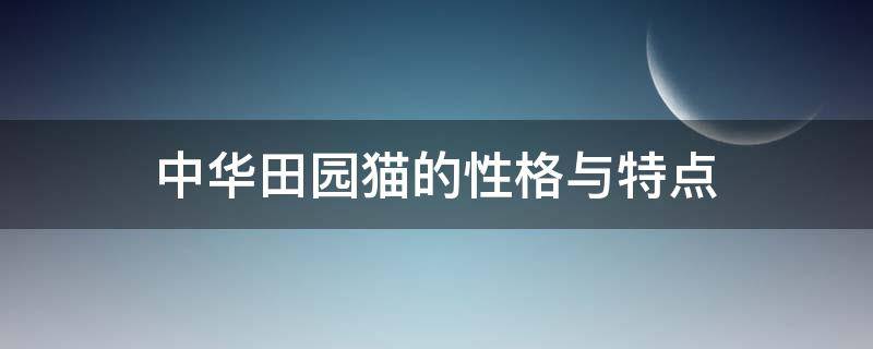 中华田园猫的性格与特点 中华田园猫哪种猫性格温和