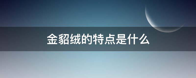 金貂绒的特点是什么（金貂绒到底是什么）