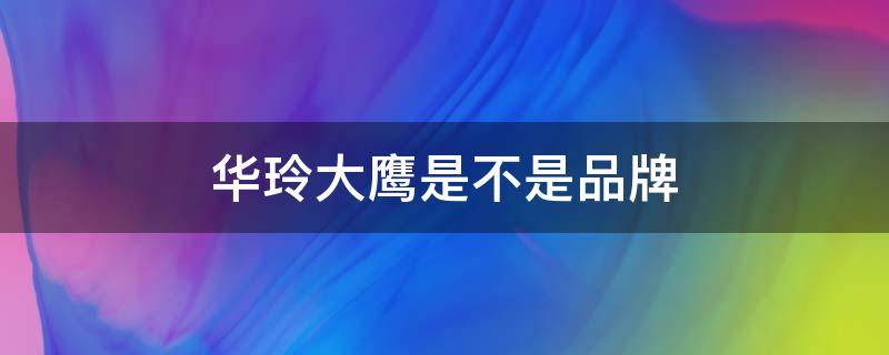 华玲大鹰是不是品牌 华玲大鹰是中国品牌吗