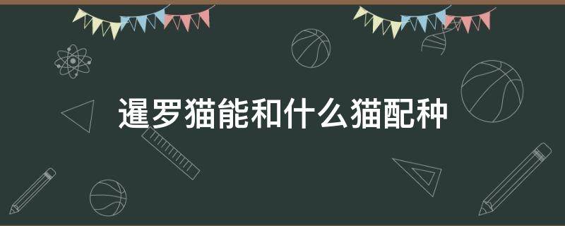 暹罗猫能和什么猫配种 暹罗猫可以和什么猫配种