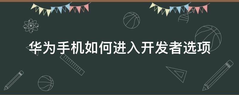 华为手机如何进入开发者选项 华为手机进去开发者选项