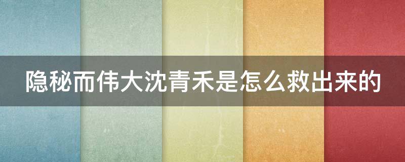 隐秘而伟大沈青禾是怎么救出来的 隐秘而伟大沈青禾怎么被救出来的