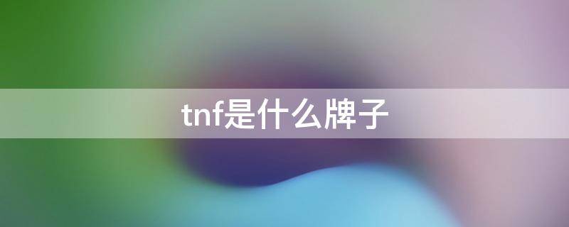 tnf是什么牌子（tnf是什么牌子衣服）