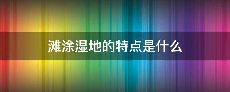 滩涂湿地的特点是什么 湿地与滩涂有何区别