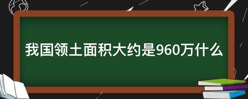 我国领土面积大约是960万什么（我国领土面积大约是960万什么米）