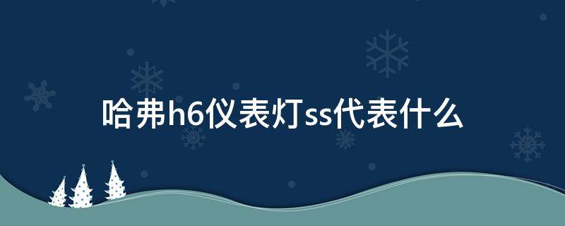 哈弗h6仪表灯ss代表什么（哈弗h6仪表灯ss什么意思）