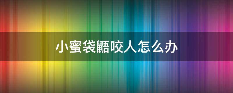 小蜜袋鼯咬人怎么办 蜜袋鼯咬我怎么办