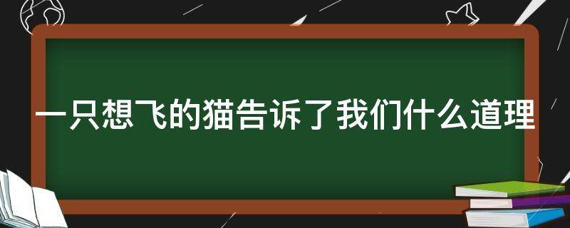 一只想飞的猫告诉了我们什么道理 一只想飞的猫告诉了我们什么道理?